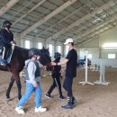 말보르승마장 이미지