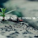 우리의 살을 결정짖는 열가지 이미지