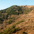 예당임존성낚시터 이미지