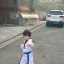 동아태권도스쿨 이미지