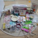 펫앤켓 | 2025_9월 일산 궁디팡팡 켓페스타 간식·장난감 쇼핑 리뷰