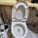 싹컴퍼니 이미지