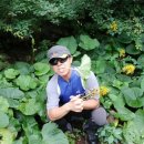 원진개쉼터 이미지