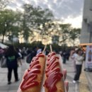 트윈스타이어 | 잠실야구장 내야 외야 먹거리 후기