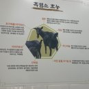 이산흑염소(비래점)