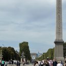 새불란서약국 | Paris 빠히 기록