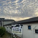 슈가몽 애견펜션 | 태안 애견동반 펜션 슈가몽 만족스러운 내돈내산 후기