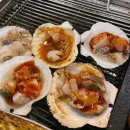 왕창 조개한판