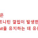 Re: 카르니틴 보충제 혈액투석환자 근감소증 개선 RCT 리뷰논문 2019 네이처 이미지