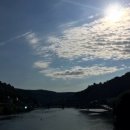 윤정농장 이미지