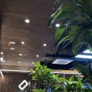 옵티머스 당구클럽 이미지