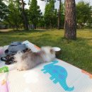 퍼피슈가 이미지