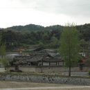 회화나무 도서관 이미지