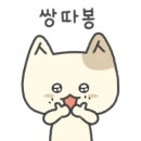 애니펫동물병원 이미지