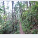 미숭산자연휴양림 이미지