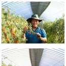 하태석 농장 이미지