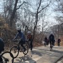 양수리 오리학교 이미지