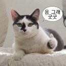 (주)스캔코 | 부산 광안리 웨이비 파티 내돈내산 리얼 후기 썰