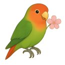 쥬키키