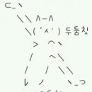 비나 이미지