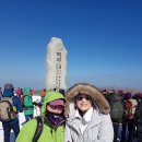 김두수「민들레」 이미지