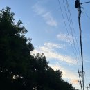 강촌초코민트 | 빠른데일주일은긴마법같은시간, 벌써 7월중순이라니?하여튼일상, 워크샵, 강촌에 을지로부터 장충동까지