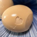 금탑농장 | 25년 7월(4)