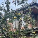 재영축산 이미지