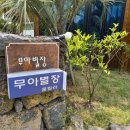 오늘 하루도 제주 이미지