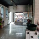 별의정원 이미지