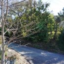 고흥공용버스터미널 이미지