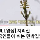 정성가득밥상 Daum카페