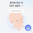 4호집 | 데미샘 자연휴양림 신축 산속의 집 덕태산4호 숙소 후기(Ft.임산부 할인30%) 치명적인 단점 1가지