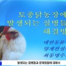 영상농장 이미지