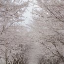 가현1길 이미지