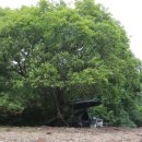 죽림낚시 이미지