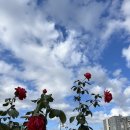 (주)컴투프리테크 | 만끽 / 친정엄마 부르기 / 열린송현 / 종로구 태교교실 / 불광천 너의이름은 / 왁싱 / 영테크 클래스