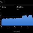 (주)더펫플레이스 | 2/22 챌린지 레이스에서 풀코스 첫 서브3 후기..