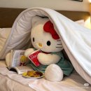엘메이크업 | [Wedding #18] 혼주 메이크업 업체 비교｜윤쌀롱 계약 후기 (바이엘린·엘루스제이 가격 비교)
