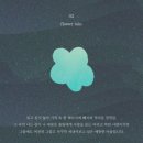 모양 세탁소 이미지