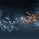 비엘바이오(주) 이미지