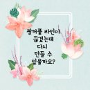 아이원성형외과의원 네이버블로그