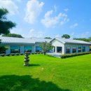 솔리,자운 이미지