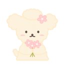 뭉치쌀롱 이미지