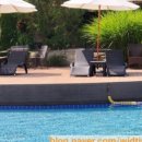 포포 스테이 이미지