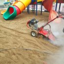 임고초교병설유치원 이미지