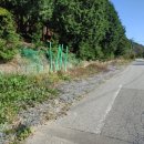 편백나무펜션2 이미지