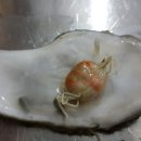 팔도굴수산