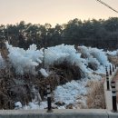 칠보산오리 이미지