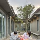 스테이 오후 이미지